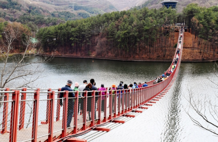 마장호수 출렁다리