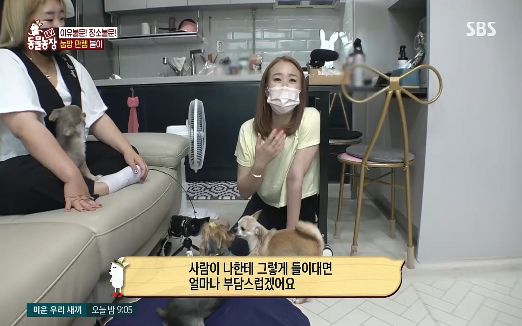 TV 동물농장.E1078.220717p.H264-F1RST.mp4_20220717_151201.372.jpg