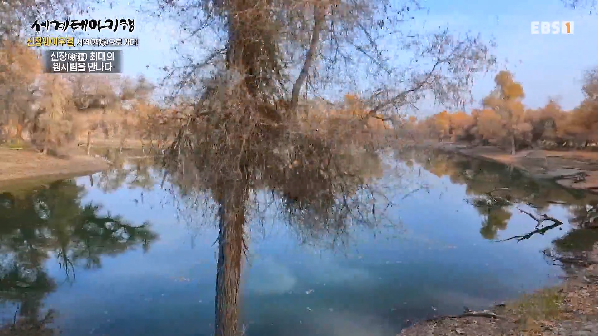 세계테마기행 240103 신장웨이우얼, 서역(西域)으로 가다! -가자! 타클라마칸으로0p.mp4_20240710_203151.159.jpg