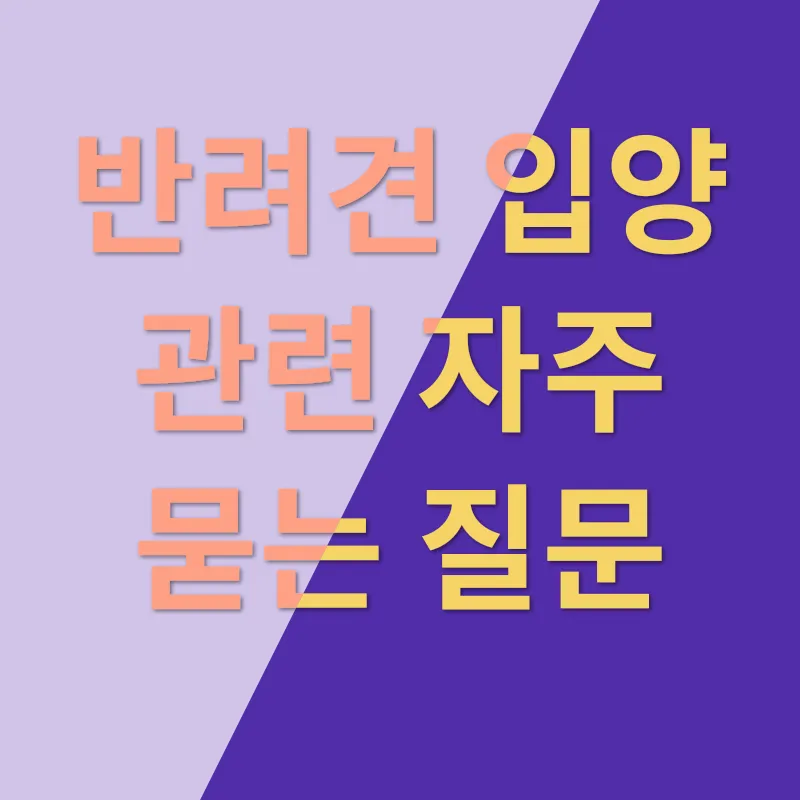반려견 입양_4