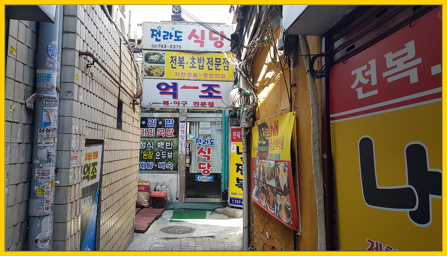  <종로 맛집> 억조 : 복요리 전문점 / 참복 사시미 코스