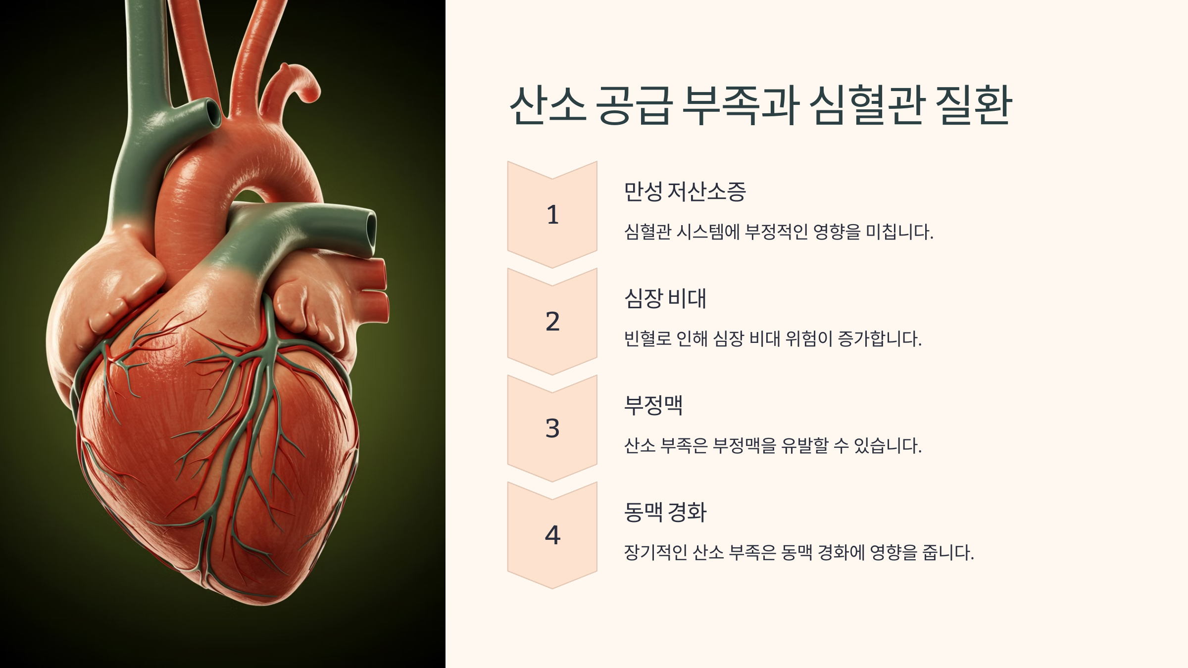산소 공급 부족이 심혈관 질환을 유발할 수 있을까?