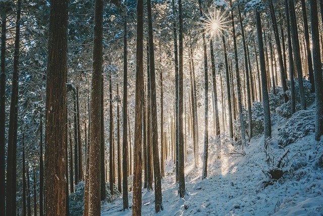 2022년 1월 25일~1월 31일 전국 날씨 눈 비 올 확률 최고 최저 기온4