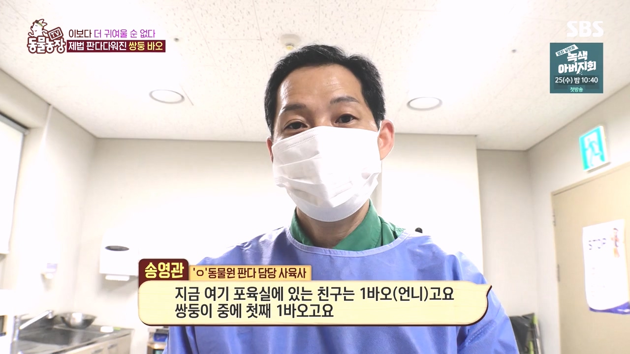 TV 동물농장.E1142.231023p-NEXT.mp4_20231022_173950.923.jpg