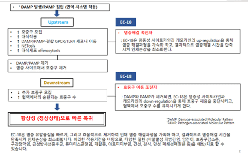 엔지켐생명과학 주가