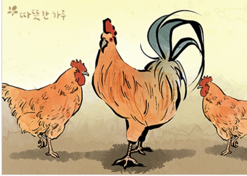 나무랑닭이랑 이미지