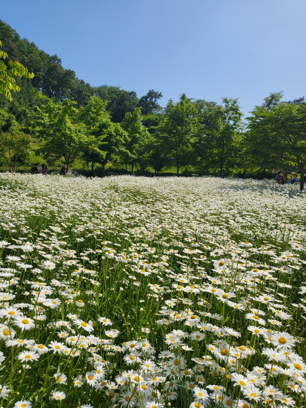 악양생태공원 