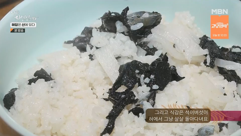 나는 자연인이다.E559.230621p.H264-F1RST.mp4_20230622_204026.100.jpg