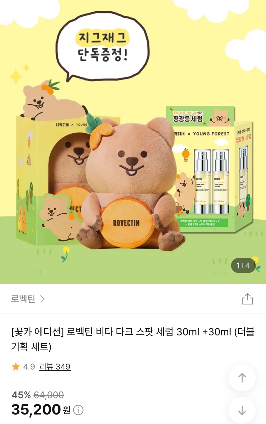 카에디션 이미지