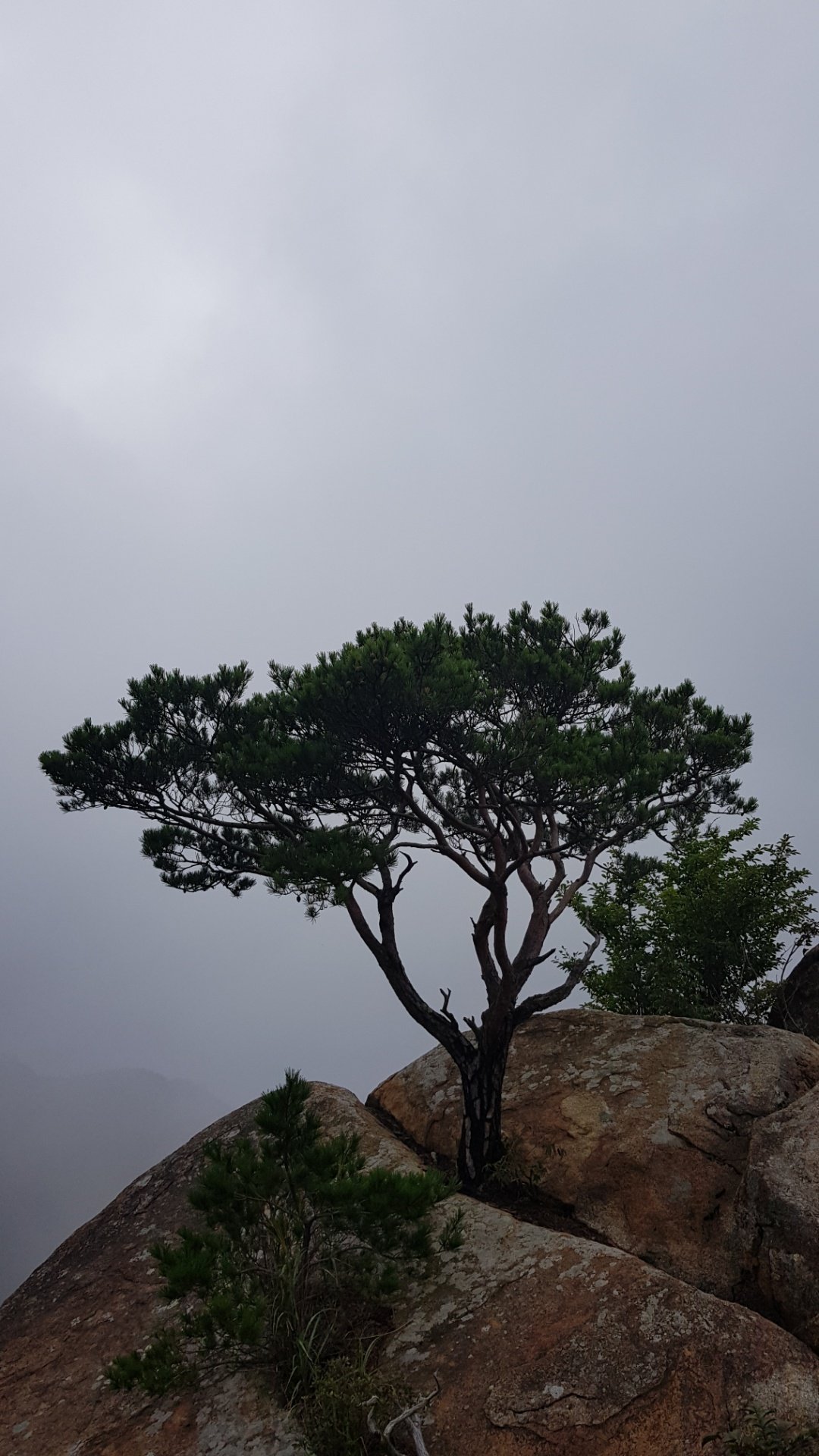 경남 창녕 영취산
