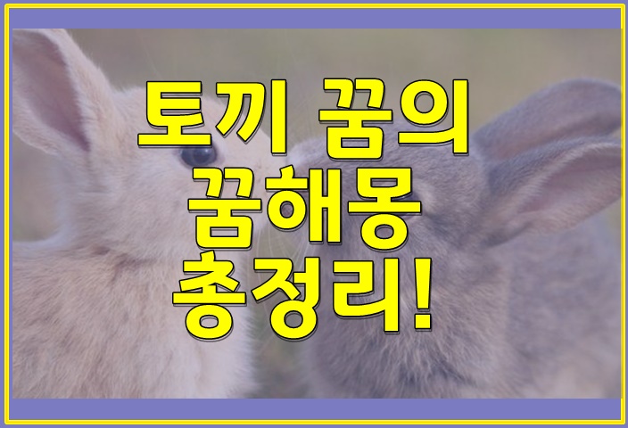 토끼 꿈의 꿈해몽 총정리!