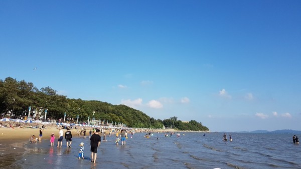 동막 해수욕장 사진