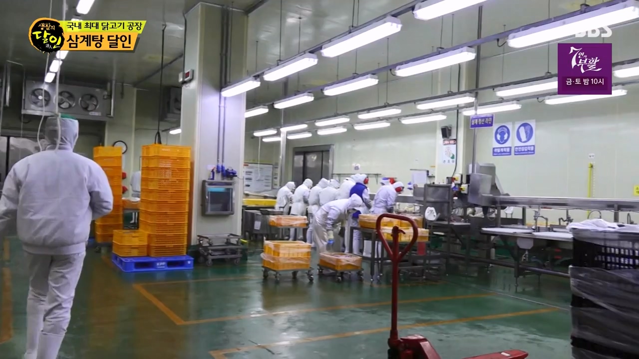 생활의 달인.E929.240402p-NEXT.mp4_20240402_200649.056.jpg