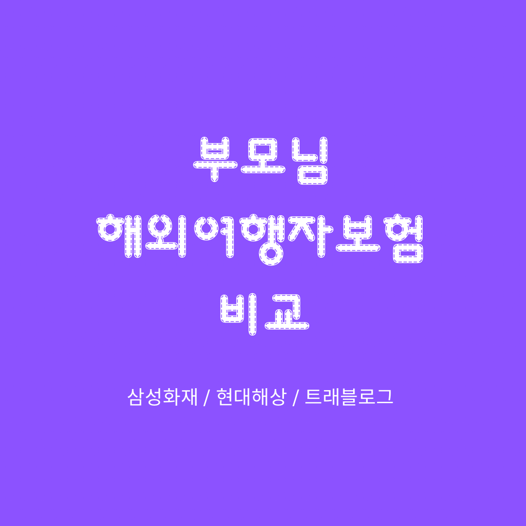  부모님 해외여행자보험 비교: 삼성화재 vs. 현대해상 vs. 트래블로그