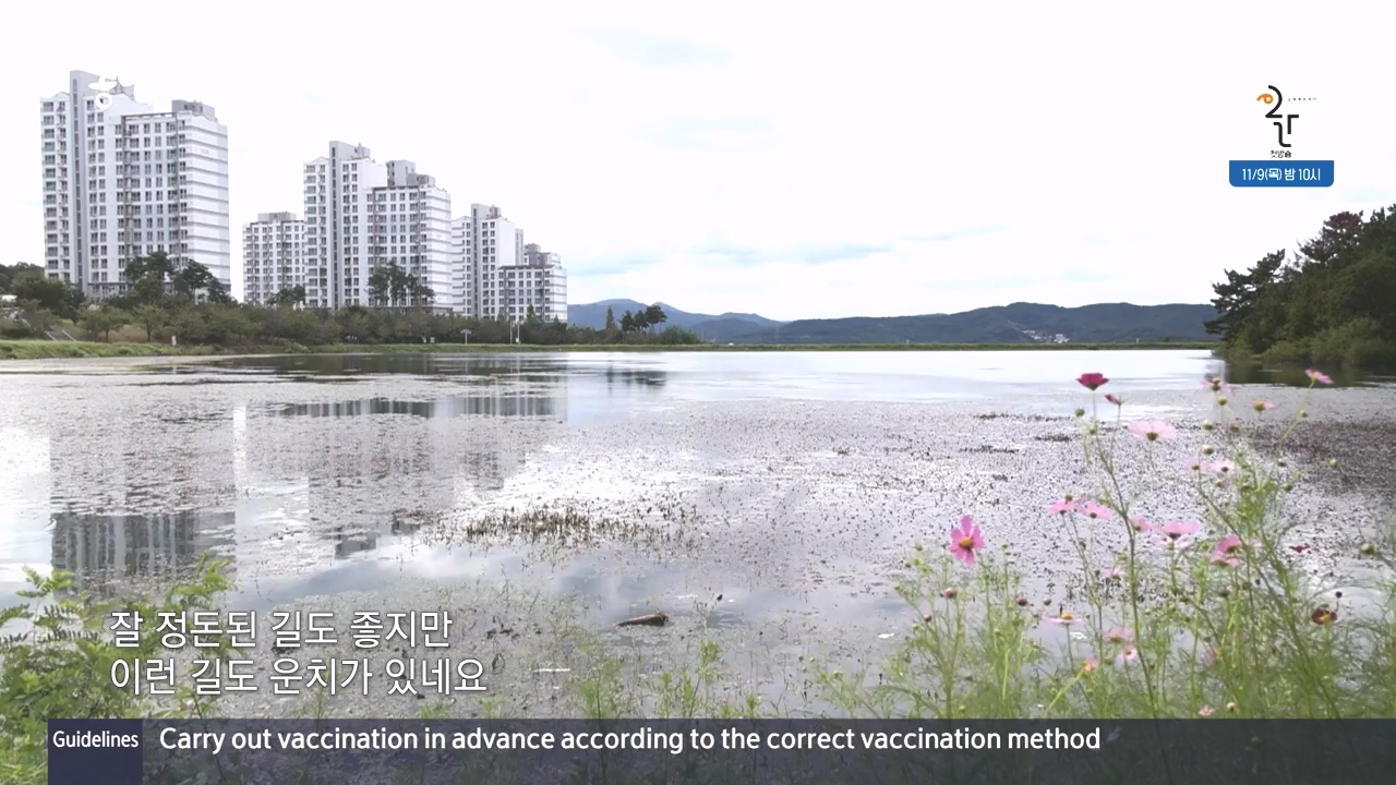 동네 한 바퀴.E244.231022p-NEXT.mp4_20231022_164233.696.jpg