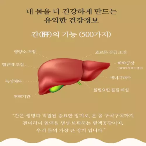 트루포뮬러 칸톱 밀크씨슬 부작용 ⚠️