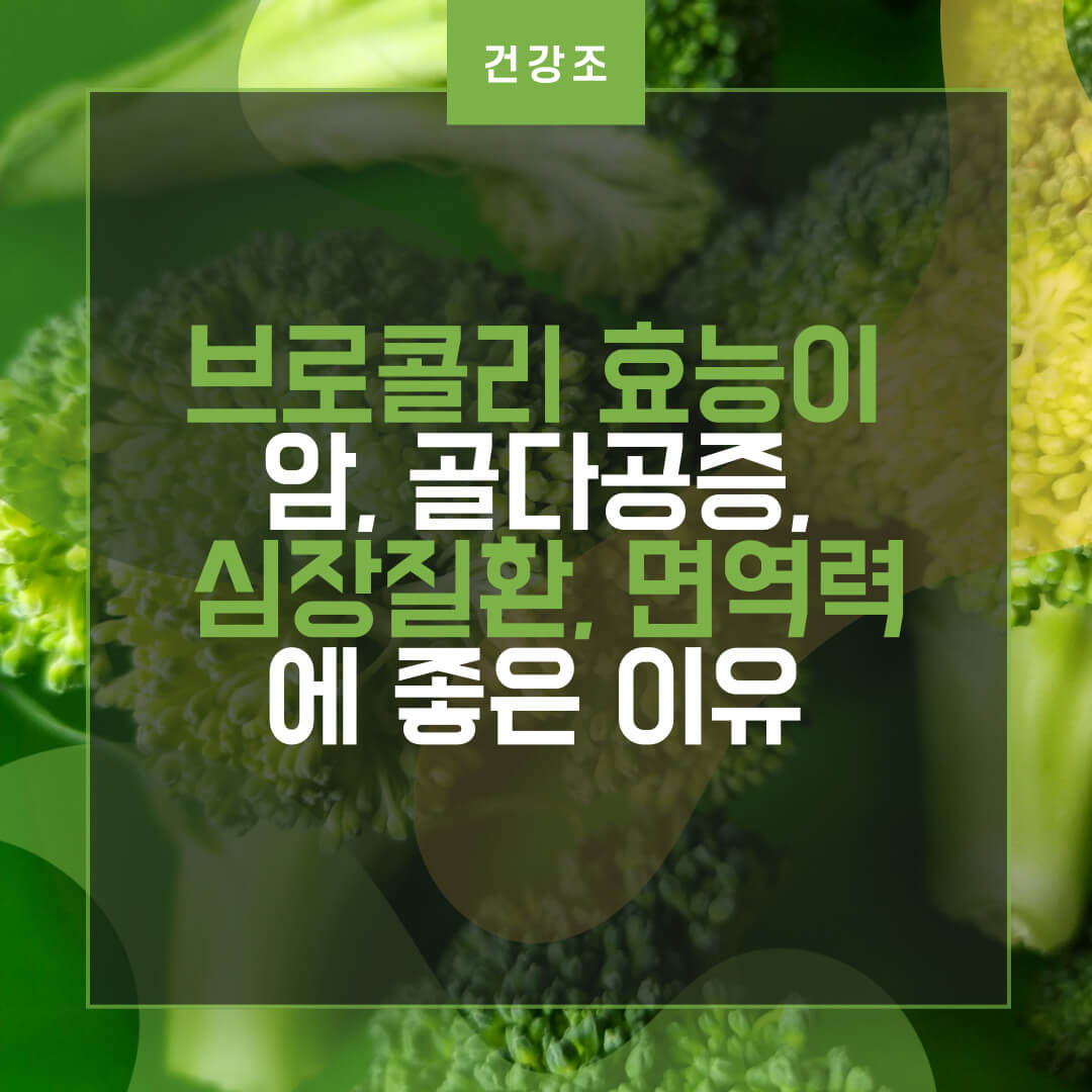  브로콜리 효능이 암, 골다공증, 심장질환, 면역력에 좋은 이유