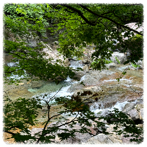 지장산계곡