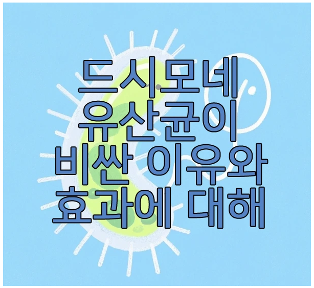 드시모네 유산균에 관한 글 보러 가기 링크 사진
