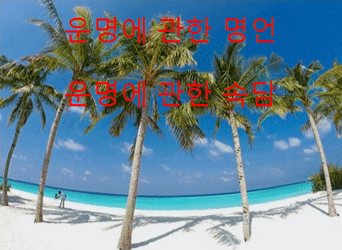  [사주팔자] 운명, 속담, 명언