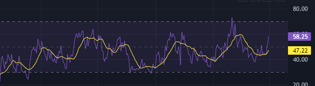 RSI 일봉