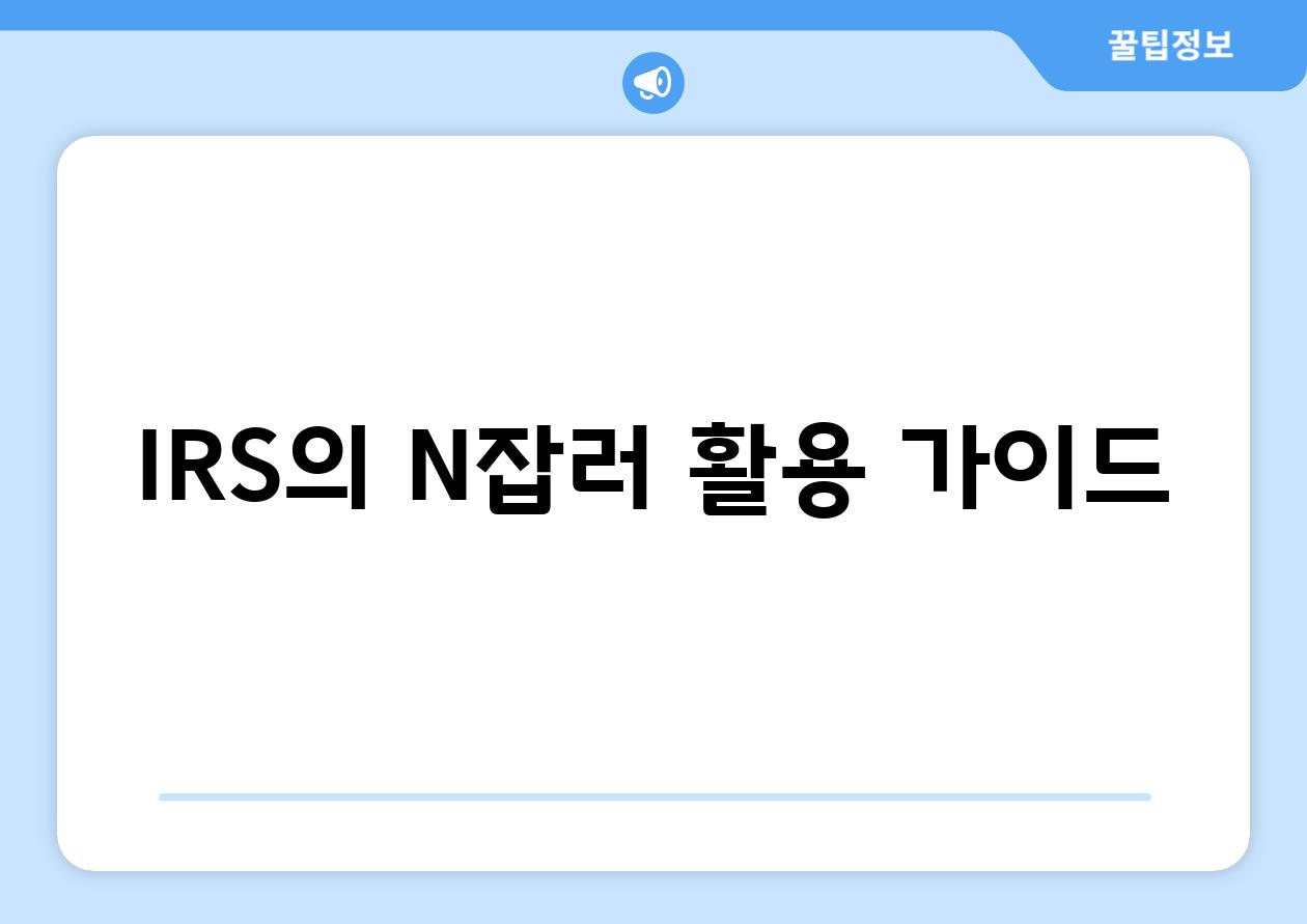 IRS의 N잡러 활용 가이드