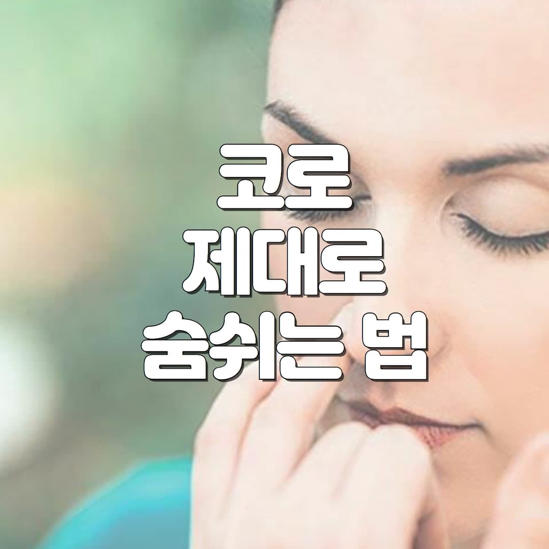  코로 숨쉬는 법