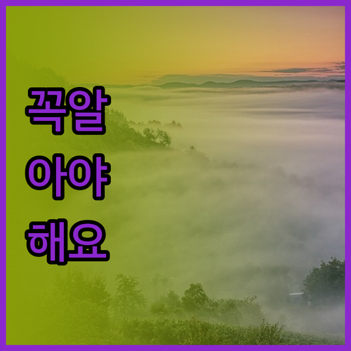 애틀랜타 숙소 고민은 끝! 힐튼, 라
