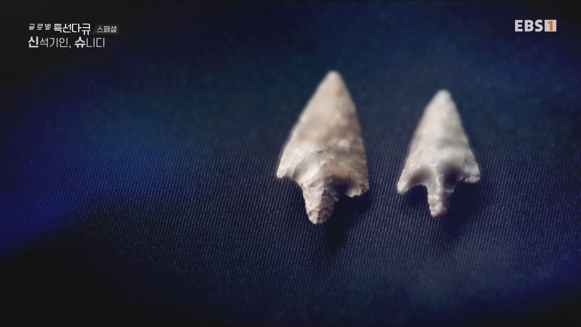 [다큐 스페셜] 신석기인, 슈니디.mp4_20230820_110538.984.jpg