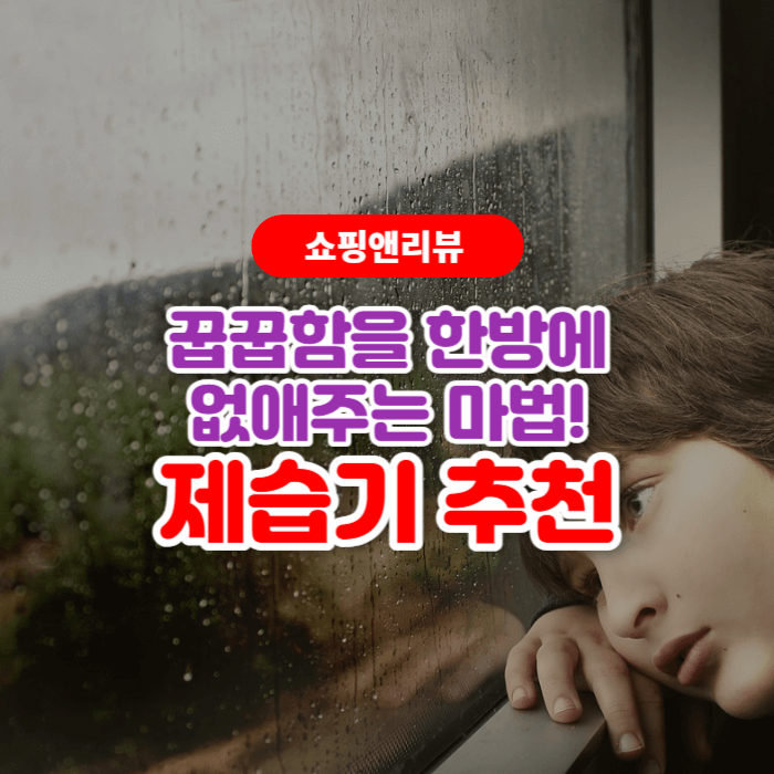  제습기 추천 - 장마철 집안의 습기를 효과적으로 없애주는 제품들
