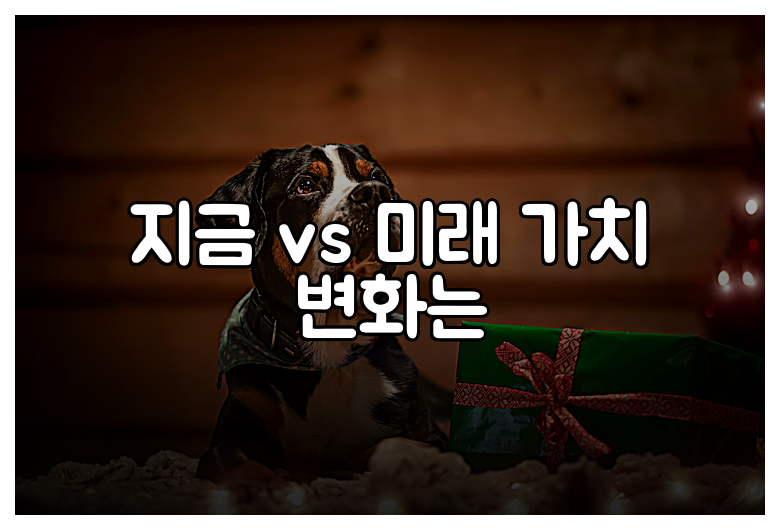 지금 vs 미래 가치 변화는