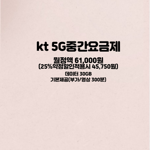 kt 5G 중간요금제