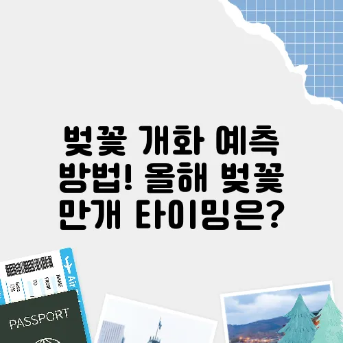 벚꽃 개화 예측 방법! 올해 벚꽃 만개 타이밍은?