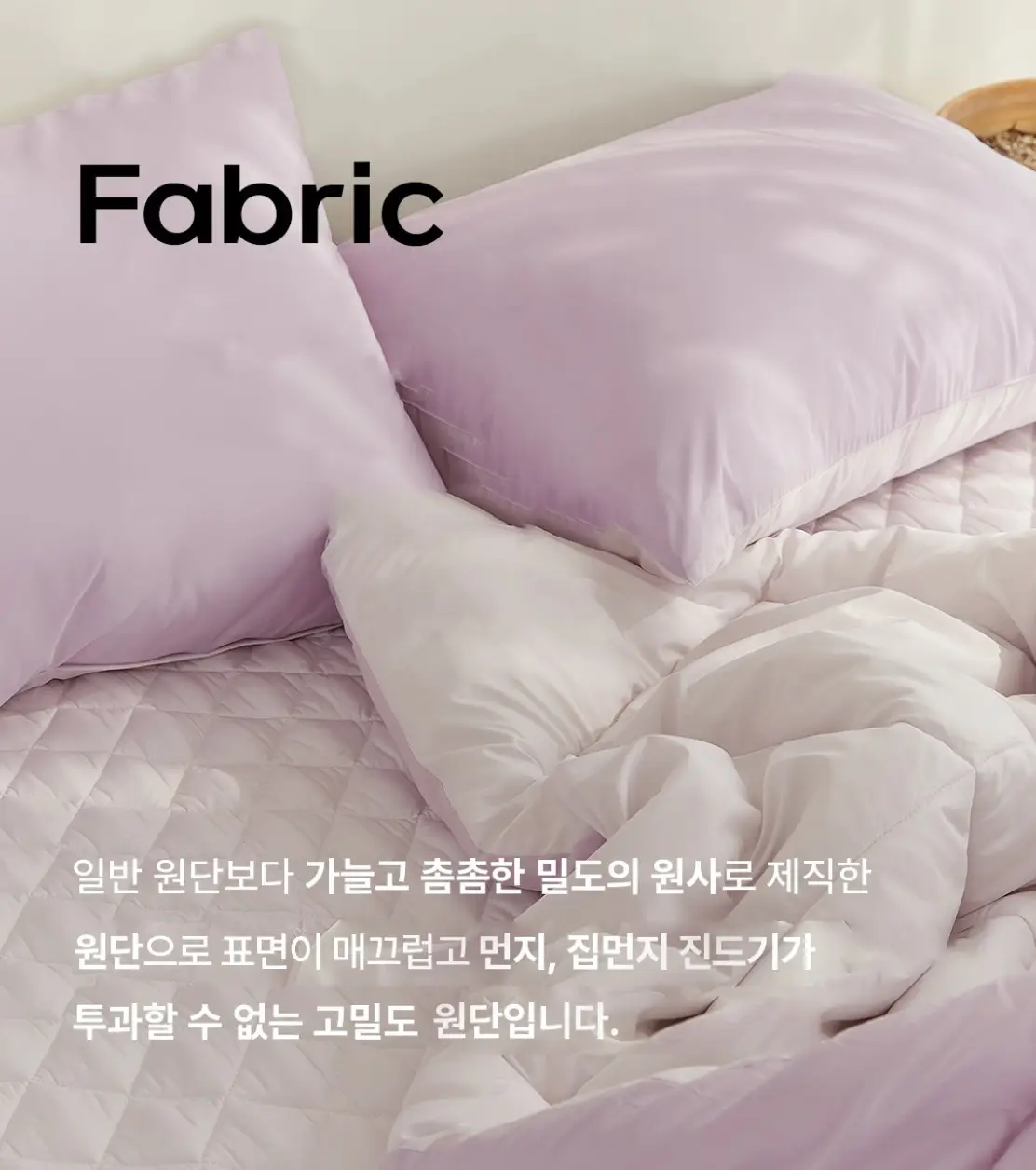 사진19