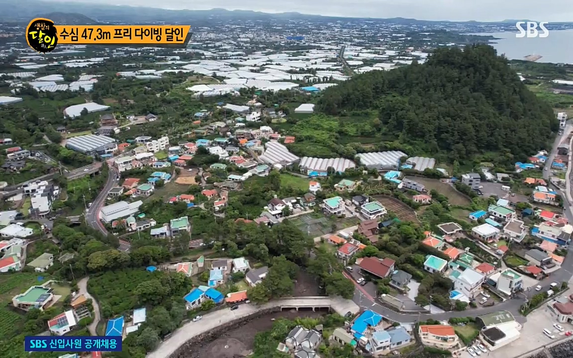 생활의 달인.E848.220621p-NEXT.mp4_20220621_201844.511.jpg