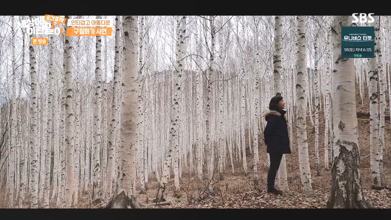 순간포착 세상에 이런일이.E1252.231112p-NEXT.mp4_20231112_170314.319.jpg