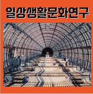 송전일식 2