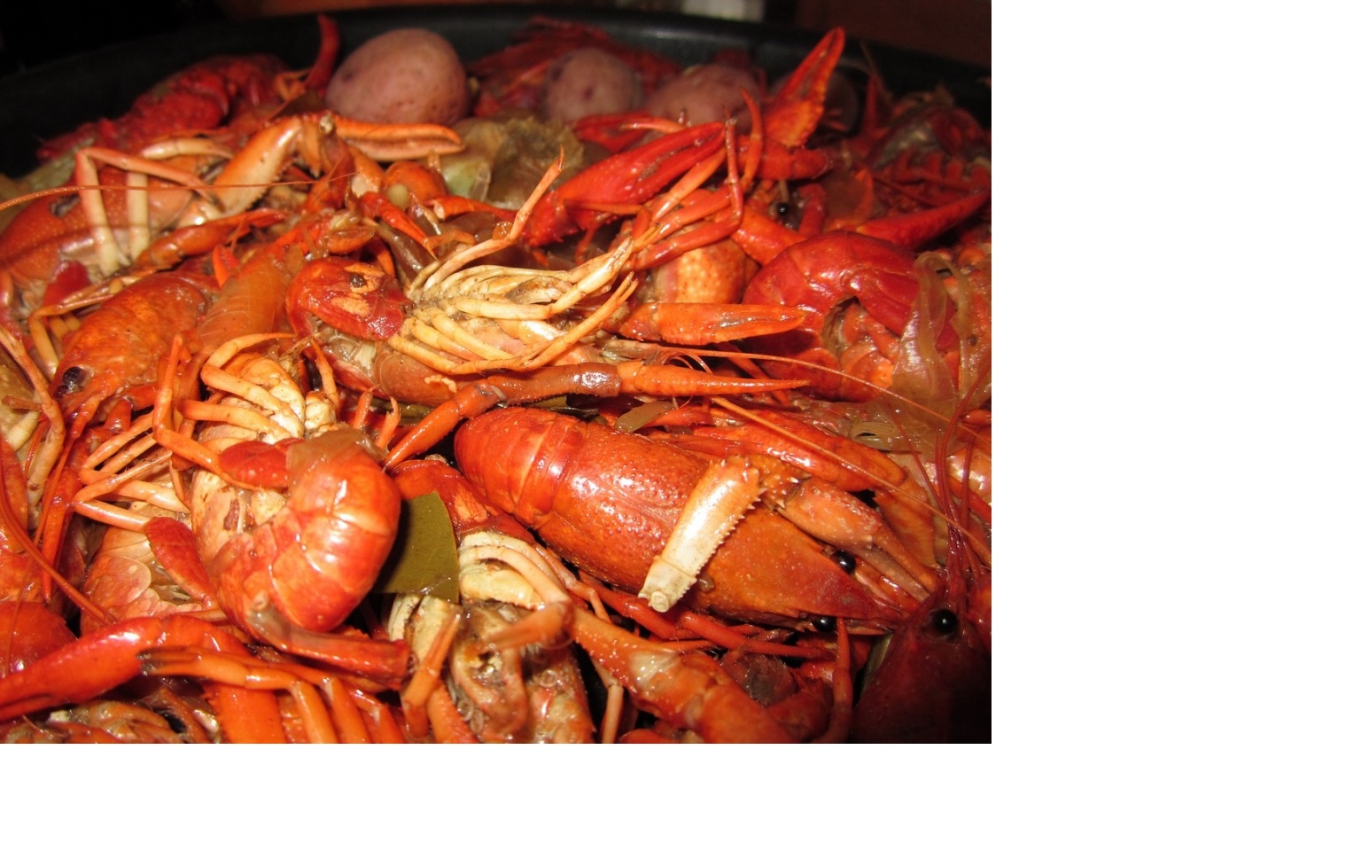  보일링 크랩 (Boiling Crab) 그립다 그리워...
