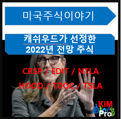  [미국주식] 캐쉬우드가 선정한 2022년 전망 주식