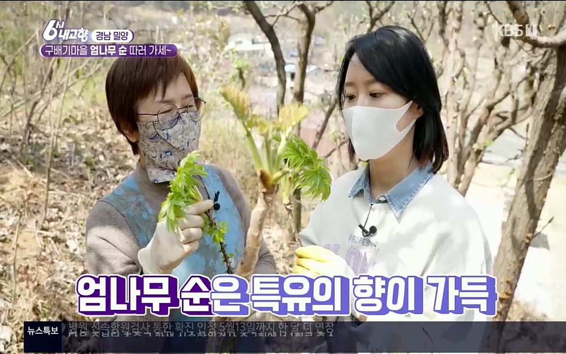 6시 내고향.E7510.220414p.H264-F1RST.mp4_20220419_182259.454.jpg