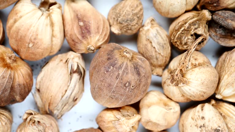 트리팔라(Triphala) 효능