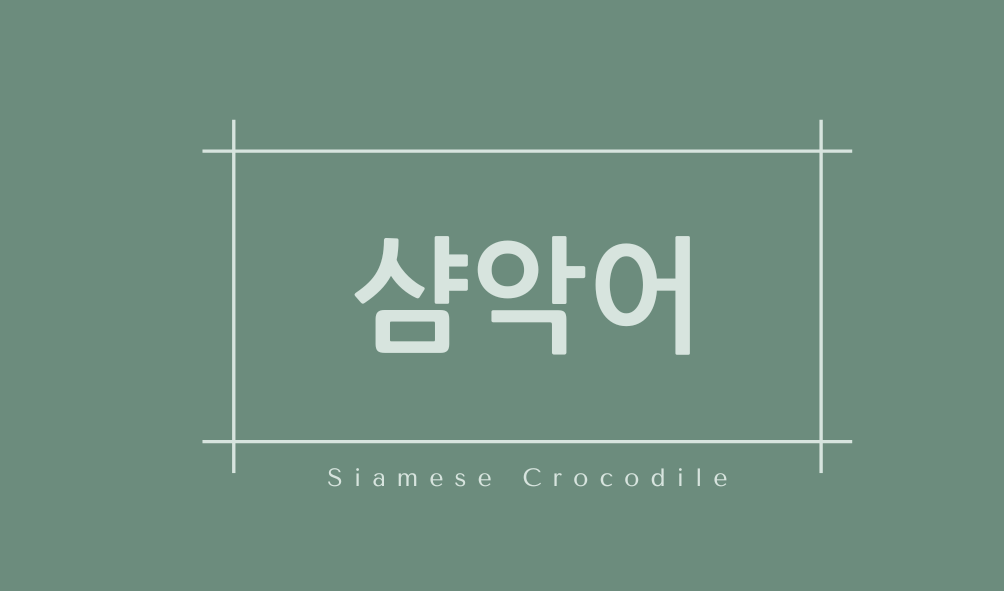 샴악어(Siamese Crocodile)