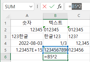 수식의 결과값을 확인하기 위해 수식을 마우스로 끌어 선택함