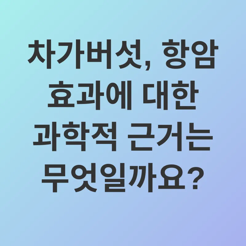 차가버섯 효능_2