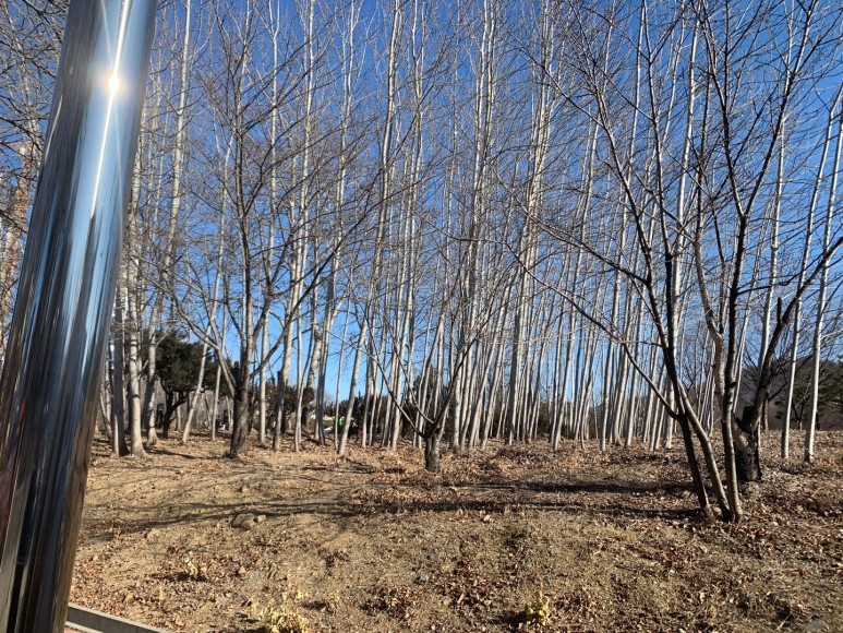 두류동 임장기(두류센트레빌더시티,두류동부센트레빌1차 지주택,대구광역시청,감삼동공공재개발,두류공원,이월드,대구문화예술회관,빌리브스카이) [임장] 대구광역시 달서구 6