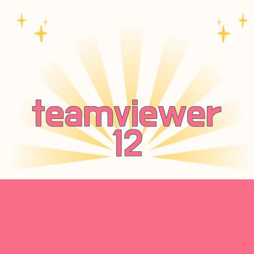 teamviewer 12