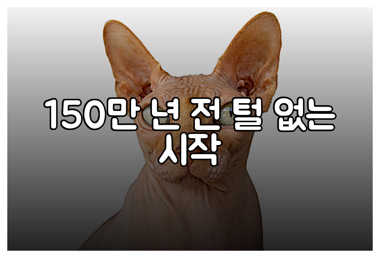 150만 년 전 털 없는 시작