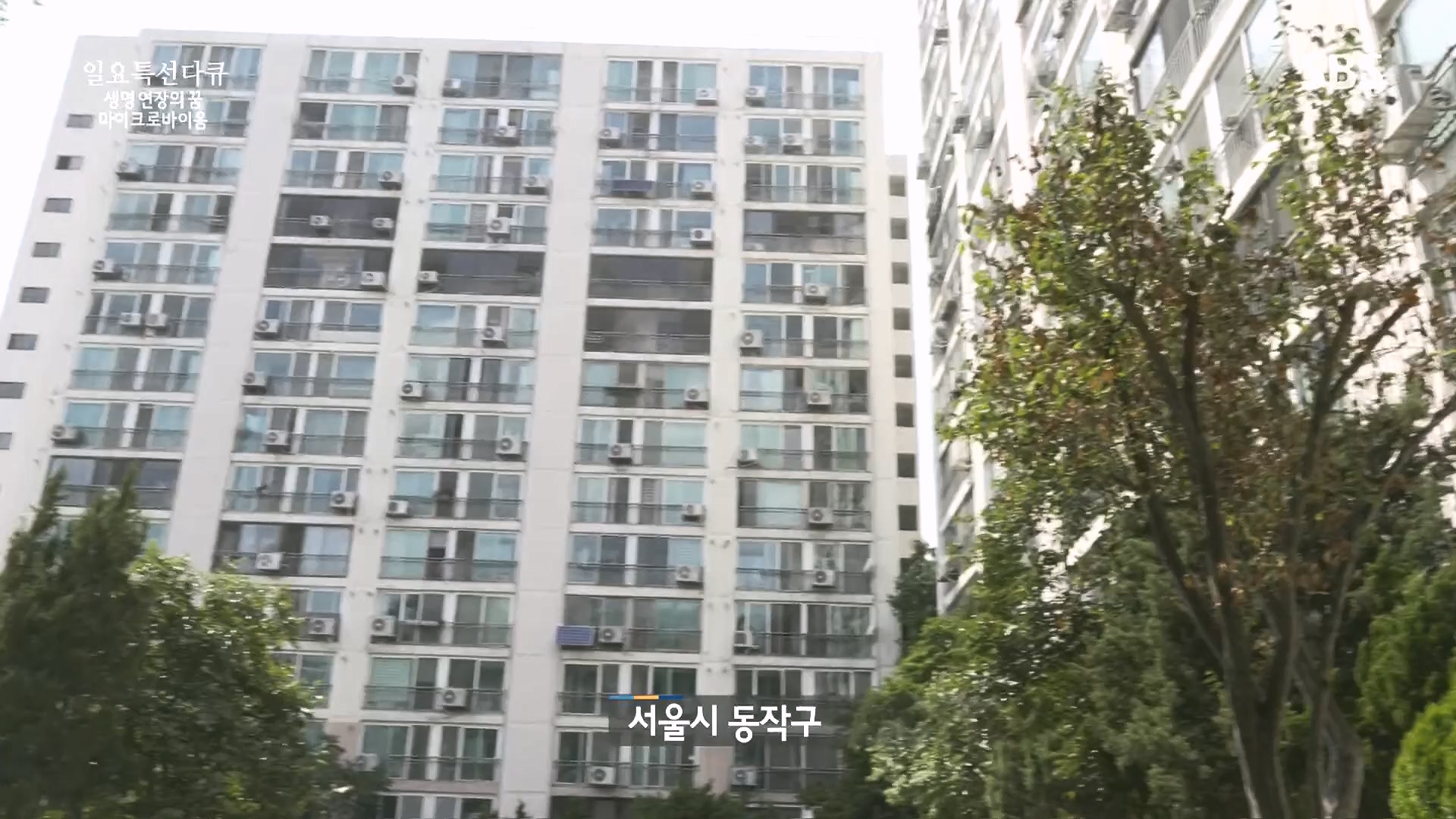 일요 특선 다큐멘터리.E318.230903p.H264-F1RST.mp4_20230907_204915.952.jpg