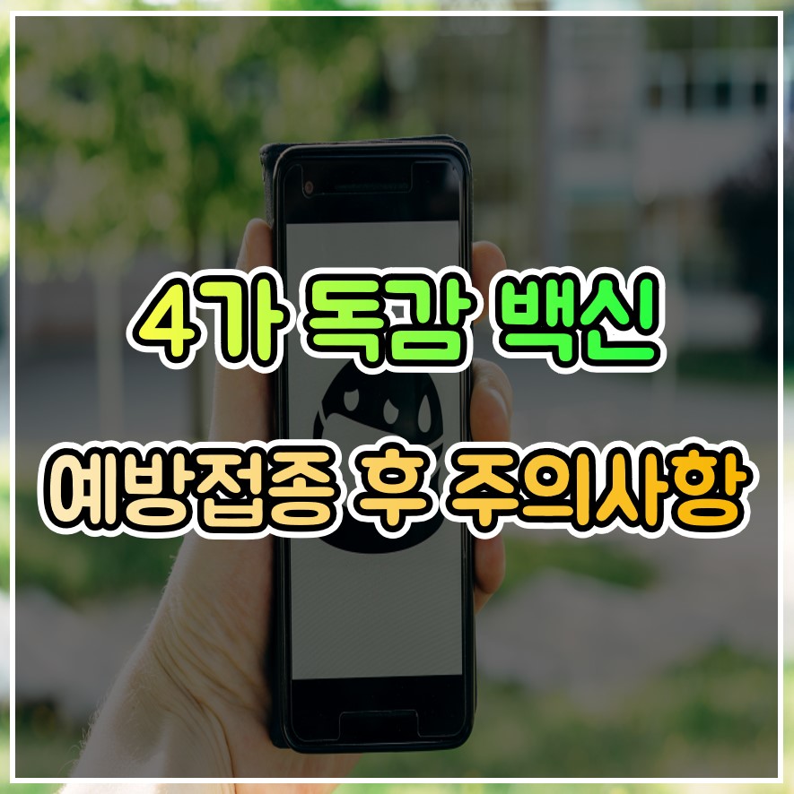  4가 독감 백신 가격, 종류 및 예방접종 후 주의사항
