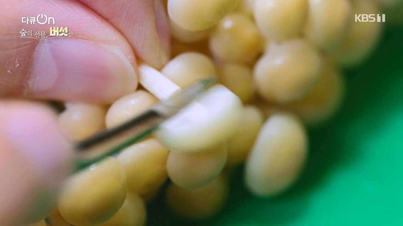 다큐 온.E227.231120p-NEXT.mp4_20231121_203702.383.jpg